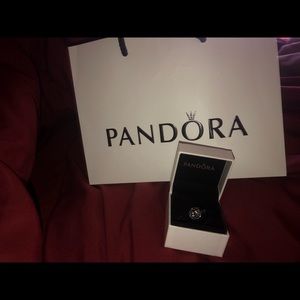 Pandora clip